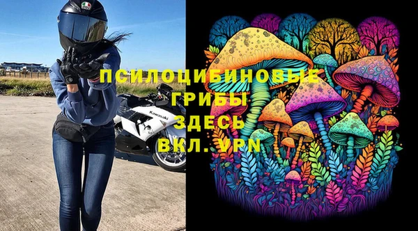 дмт Аркадак