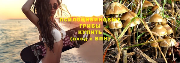 винт Алзамай