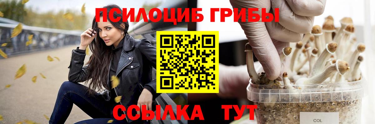 Псилоцибиновые грибы мицелий  как найти закладки  Псилоцибиновые грибы прущие грибы  Дюртюли  Вход с VPN 